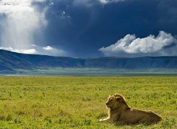 3 Day Safari Lake Manyara – Ngorogoro Crater – Tarangire National Park