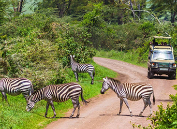 3 Day Safari Lake Manyara – Ngorogoro Crater – Tarangire National Park