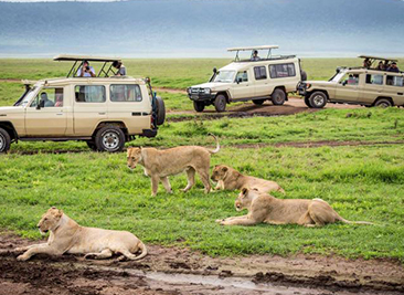 4 Day Safari Lake Manyara – Serengeti Plains – Ngorogoro Crater
