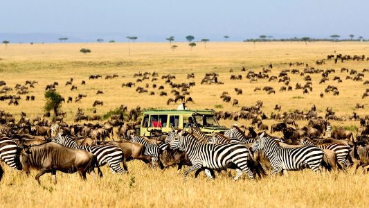Serengeti-National-Park-