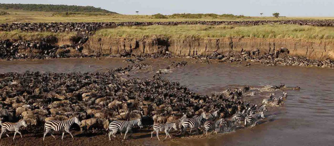 Serengeti Wildebeest Migration Safari - Safarimet Travels Ltd