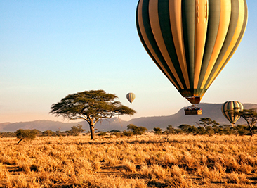 balloon safaris