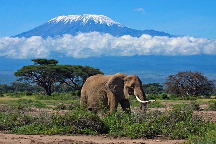 tanzania-mount-kilimanjaro