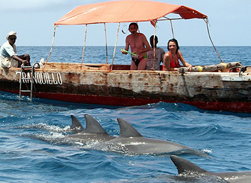 Full Day Jozani Forest & Dolphins Tour – Zanzibar