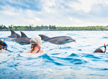 Half Day Kizimkazi Dolphins Tour – Zanzibar