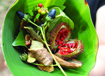 SPICE TOUR – ZANZIBAR