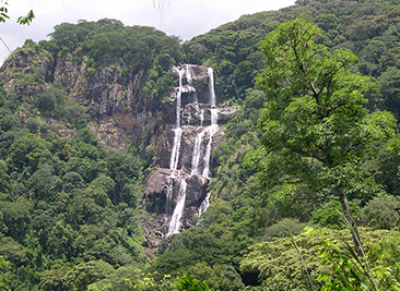 Udzungwa-Mountains-National-Park-f.jpg